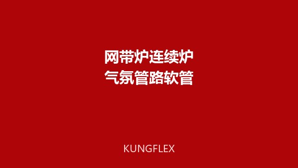 网带炉/连续炉气氛管路软管选型技术方案 | KUNGFLEX 空弗