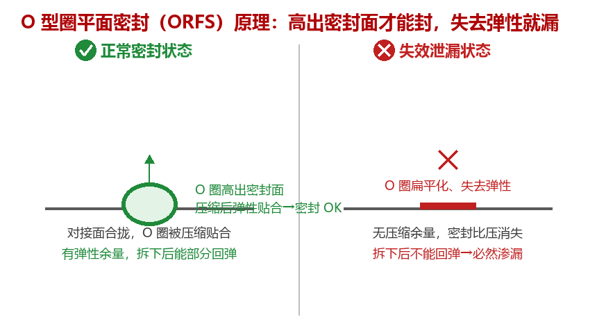 O 型圈平面密封原理:正常高出密封面 vs 失效扁平化